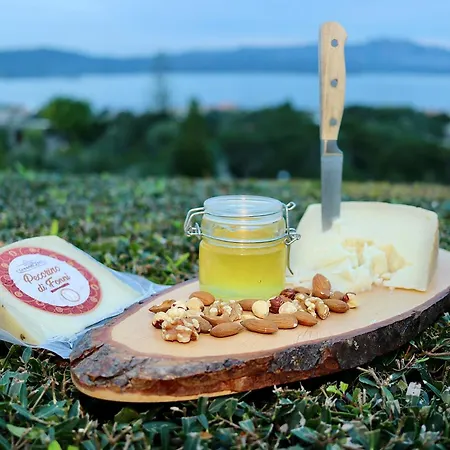 Daire Superior 1br Vacation - Fully Equipped - Azulis2 - Garden - Free Parking *